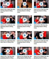 Wing Chun Lessons screenshot 1