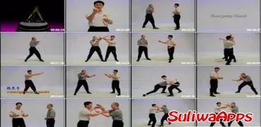 Best wing chun technique