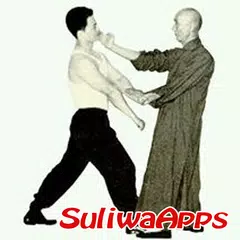 Best wing chun technique APK Herunterladen