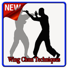 Wing Chun Techniques icône