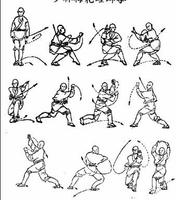 Wing Chun Techniques Ekran Görüntüsü 1