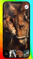 Wild Horse World Nature Animal Best Lock Screen スクリーンショット 2