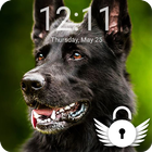 Black German Shepherd Theme Screen Lock ikon