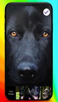 Black German Shepherd Theme Screen Lock скриншот 2