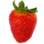 Nature pictures - Free Version