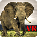 VR Elephants - Google Cardboard Game APK