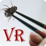 VR FlyMaster - Google Cardboard Game