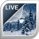 Winter Live Hintergrund APK