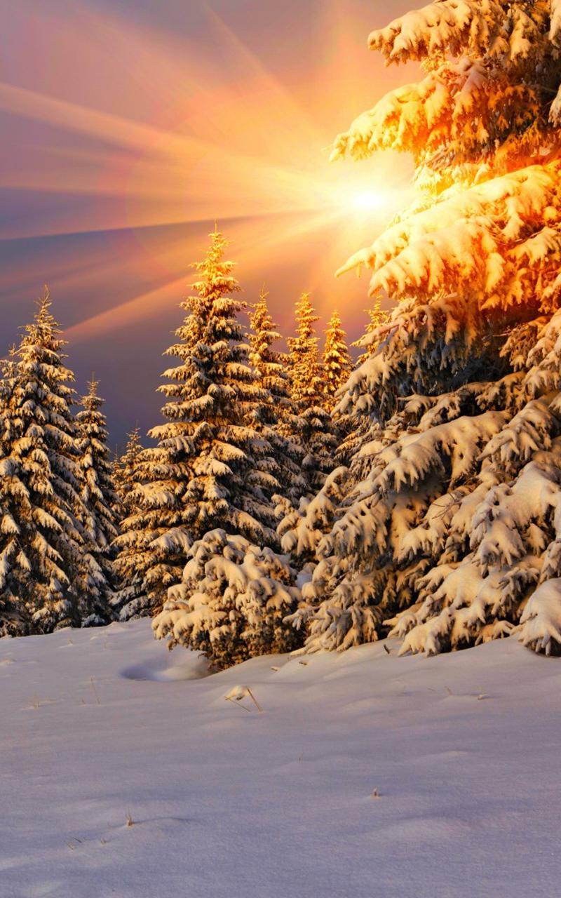 Winter Live Hintergrund Fur Android Apk Herunterladen