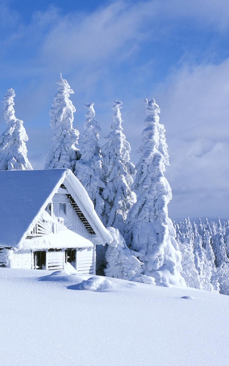 21 Handy Wallpaper Hd Winter Basty Wallpaper