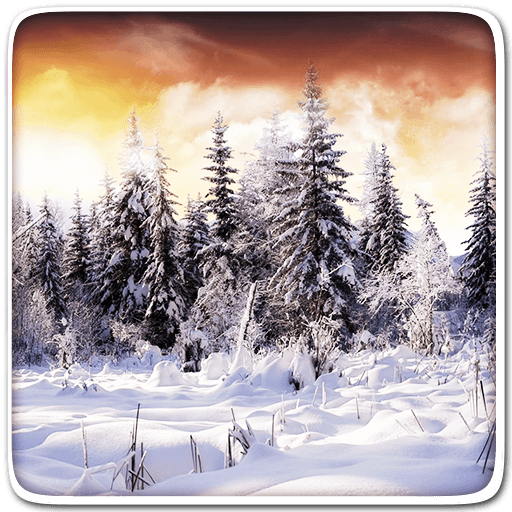 Winter Live Wallpaper