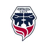 Fortaleza FC Demo 2waySports icône