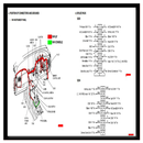 Car Electrical Wiring Diagram Free APK