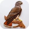 Wood Craft Ideas APK