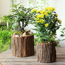 Pots de plantes en bois APK