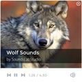 Wolf Sounds