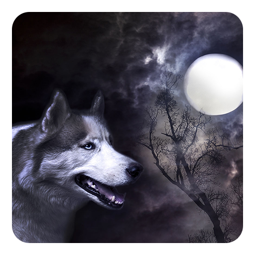 狼と月ライブ壁紙
