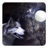 Loup et la lune Fond Animé icône