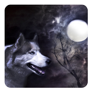 Loup et la lune Fond Animé APK