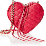 Mulher Mão do saco de