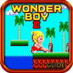 GUIDE for: Wonder Boy 2