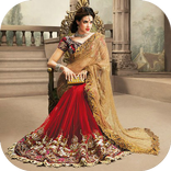 Замечательный дизайн сари