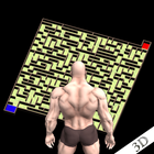 Maze Bricks 3D-icoon