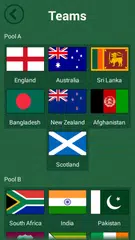 Cricket WC 2015 - Australia APK download