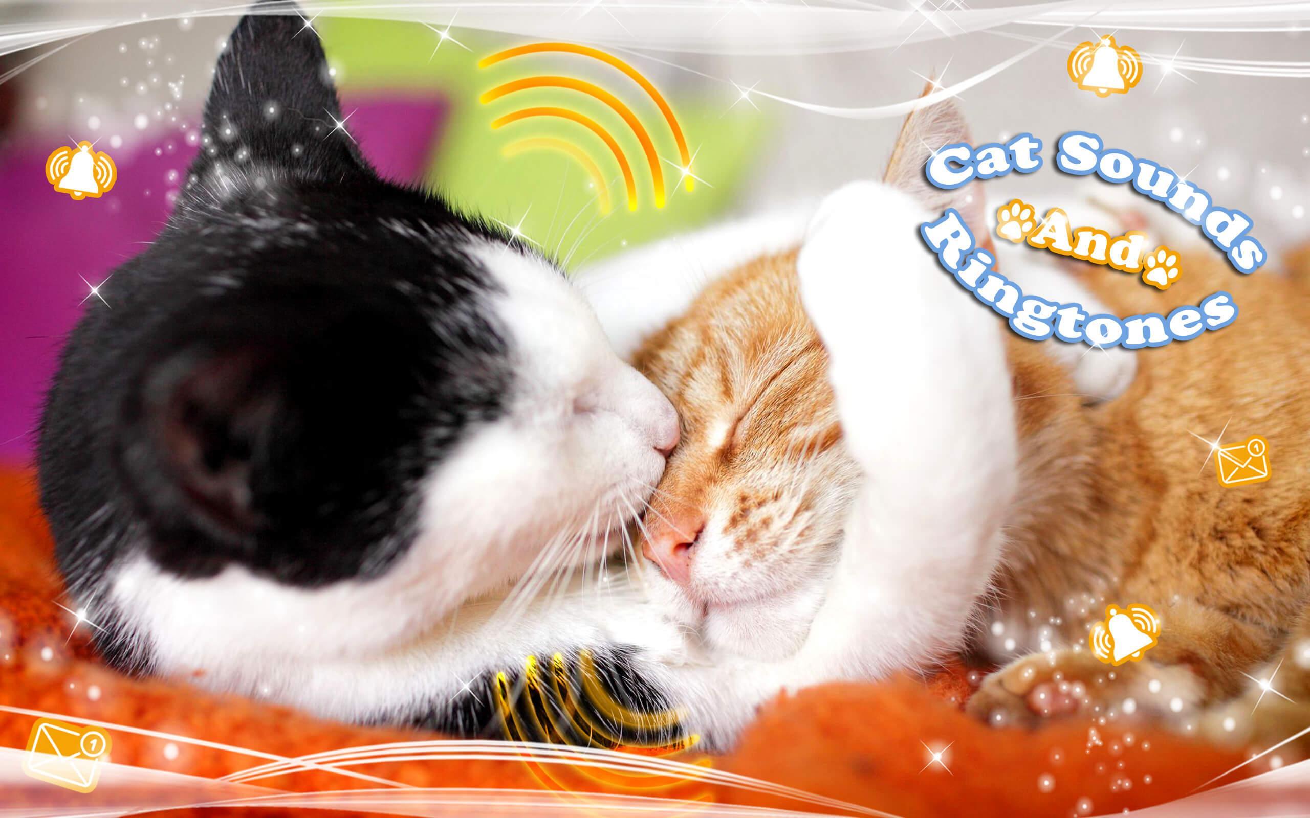 Son De Chat Sonneries Et Notifications Pour Android Telechargez L Apk Son De Chat Sonneries Et Notifications Pour Android Telechargez L Apk