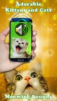 Tonos de Maullidos de Gato 😼 Sonidos para Movil captura de pantalla 1