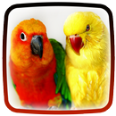 Fondos Animados de Loros 🕊 Imagenes de Aves APK