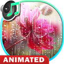 Fondo de Pantalla de Lluvia ☔ Sonido de Gotas Agua APK