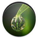 Os Ke Phool -Rajesh Joshi Raja APK