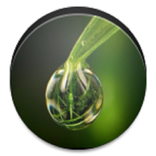 Os Ke Phool -Rajesh Joshi Raja