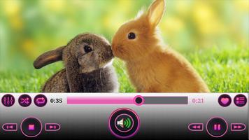 XS Video Player Plakat