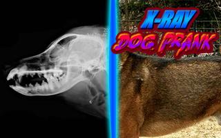 X-Ray Dog Joke syot layar 1