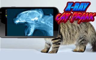 X-Ray Cat Prank capture d'écran 3