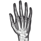 ikon X-Ray tangan kanan gratis