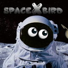 SpaceX Bird icon