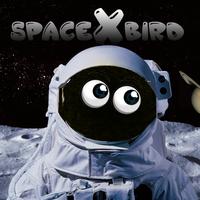 SpaceX Bird постер