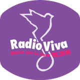 Radio Viva 95.3 fm icône