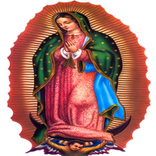 Virgen De Guadalupe Importancia
