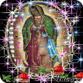 Virgen De Guadalupe Y Rosas
