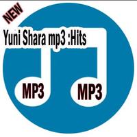 Yuni Shara mp3: Hits постер