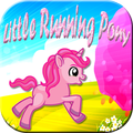 Little Running Pony