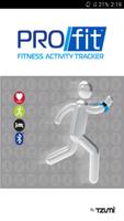 Pro-Fit Poster