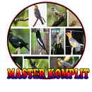 Masteran Burung Komplit Mp3 Offline APK