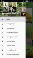Masteran Burung Komplit Mp3 Offline الملصق
