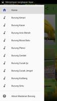 Masteran Burung Komplit Mp3 Offline تصوير الشاشة 1