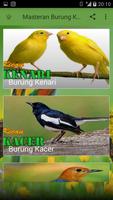 Masteran Burung Komplit Mp3 Offline تصوير الشاشة 2